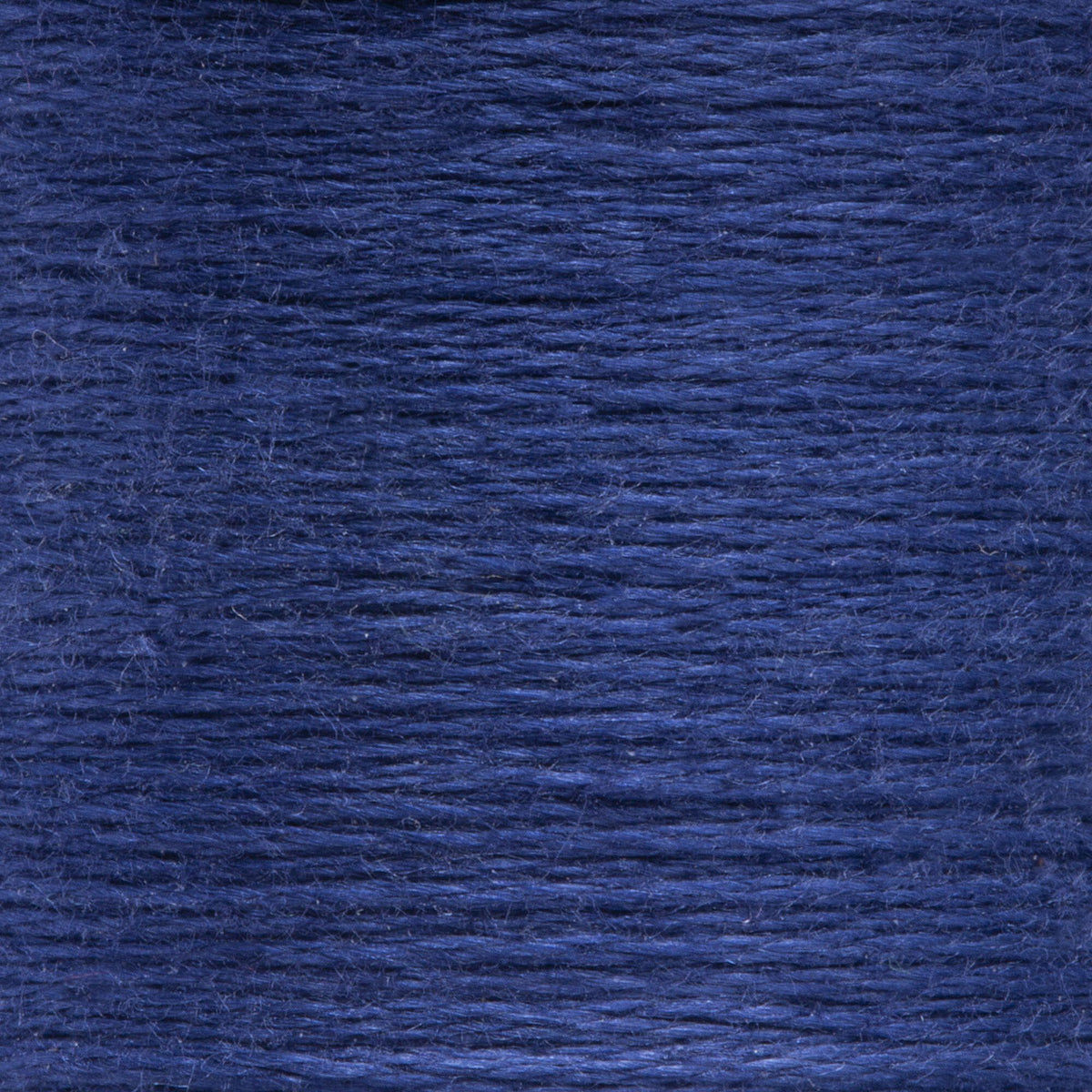 0123 Blueberry Dark