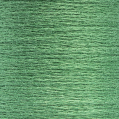Anchor Spooled Floss 10 Meters - Clearance Shades 0209 Spruce
