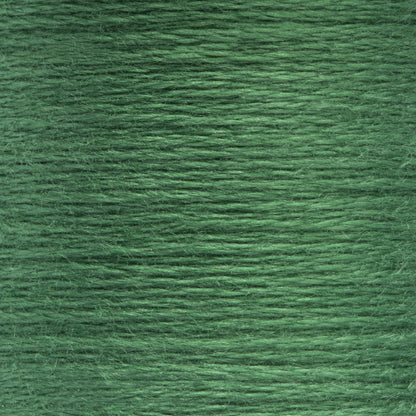 Anchor Spooled Floss 10 Meters - Clearance Shades 0210 Spruce Medium