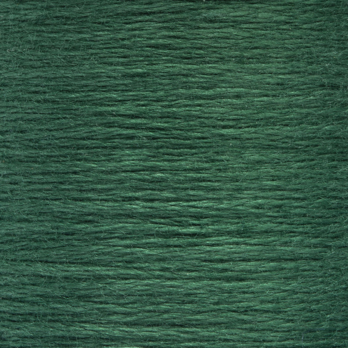 0212 Spruce Dark