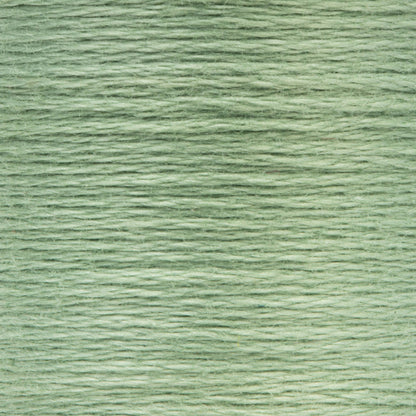 Anchor Spooled Floss 10 Meters - Clearance Shades 0214 Juniper Light