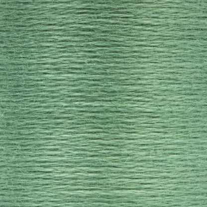 Anchor Spooled Floss 10 Meters - Clearance Shades 0215 Juniper Medium Light