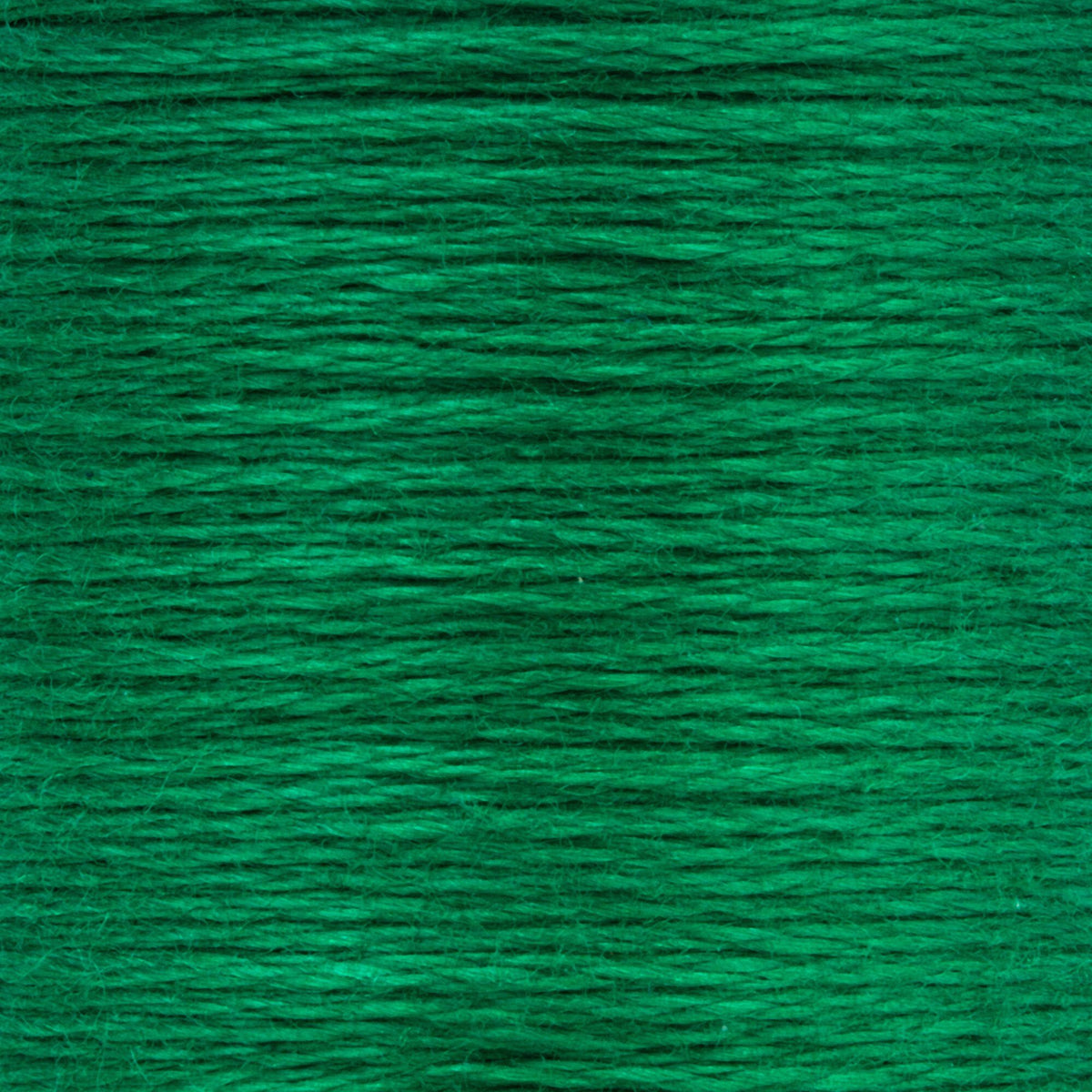 0218 Juniper Dark