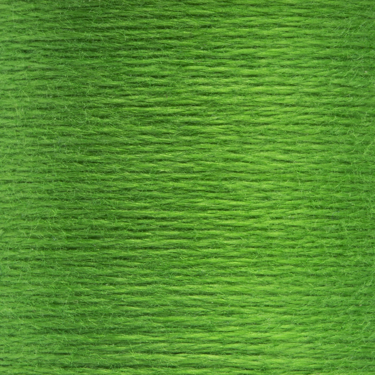 0239 Spring Green Dark