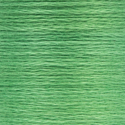 Anchor Spooled Floss 10 Meters - Clearance Shades 0242 Grass Green Medium Light