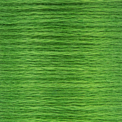 Anchor Spooled Floss 10 Meters - Clearance Shades 0257 Parrot Green Medium Dark