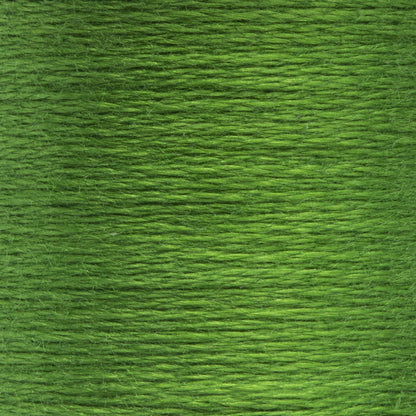 Anchor Spooled Floss 10 Meters - Clearance Shades 0258 Parrot Green Dark