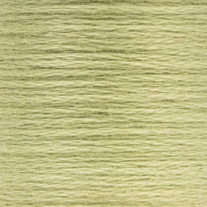 Anchor Spooled Floss 10 Meters - Clearance Shades 0260 Loden Green Light