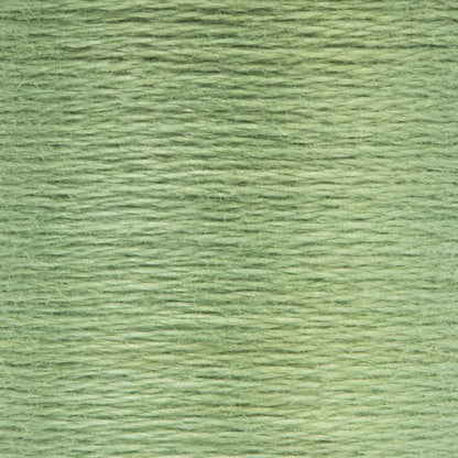 Anchor Spooled Floss 10 Meters - Clearance Shades 0261 Loden Green Medium Light