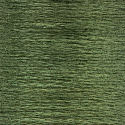 Anchor Spooled Floss 10 Meters - Clearance Shades 0262 Loden Green Medium
