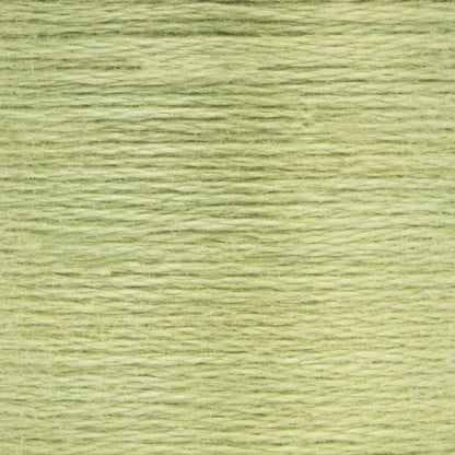 Anchor Spooled Floss 10 Meters - Clearance Shades 0264 Avocado Very Light