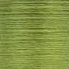 0266 Avocado Medium Light