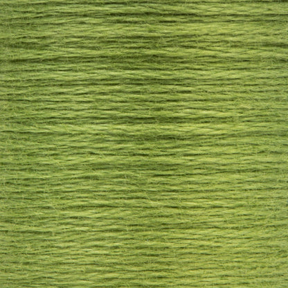 Anchor Spooled Floss 10 Meters - Clearance Shades 0266 Avocado Medium Light