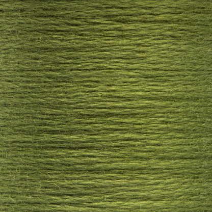 Anchor Spooled Floss 10 Meters - Clearance Shades 0267 Avocado Medium