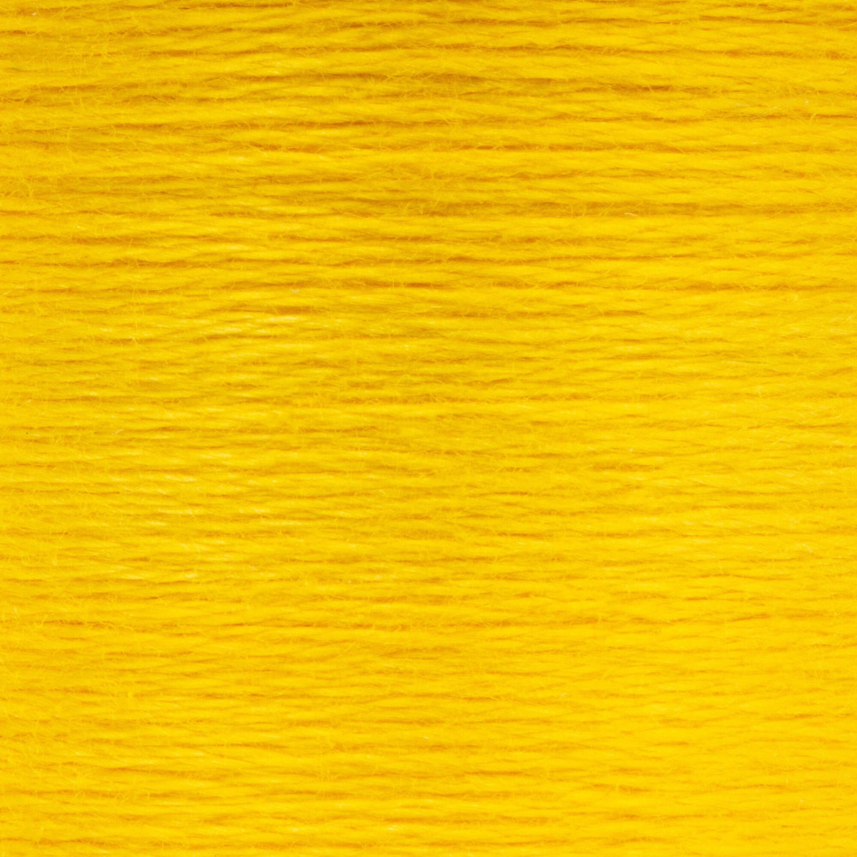 0297 Jonquil Medium