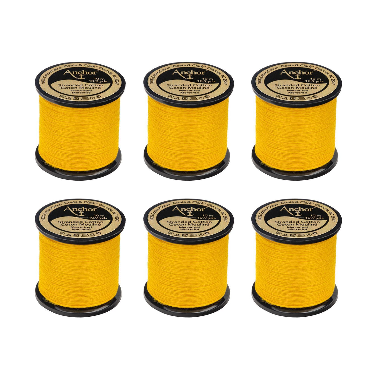 0298 Jonquil Dark