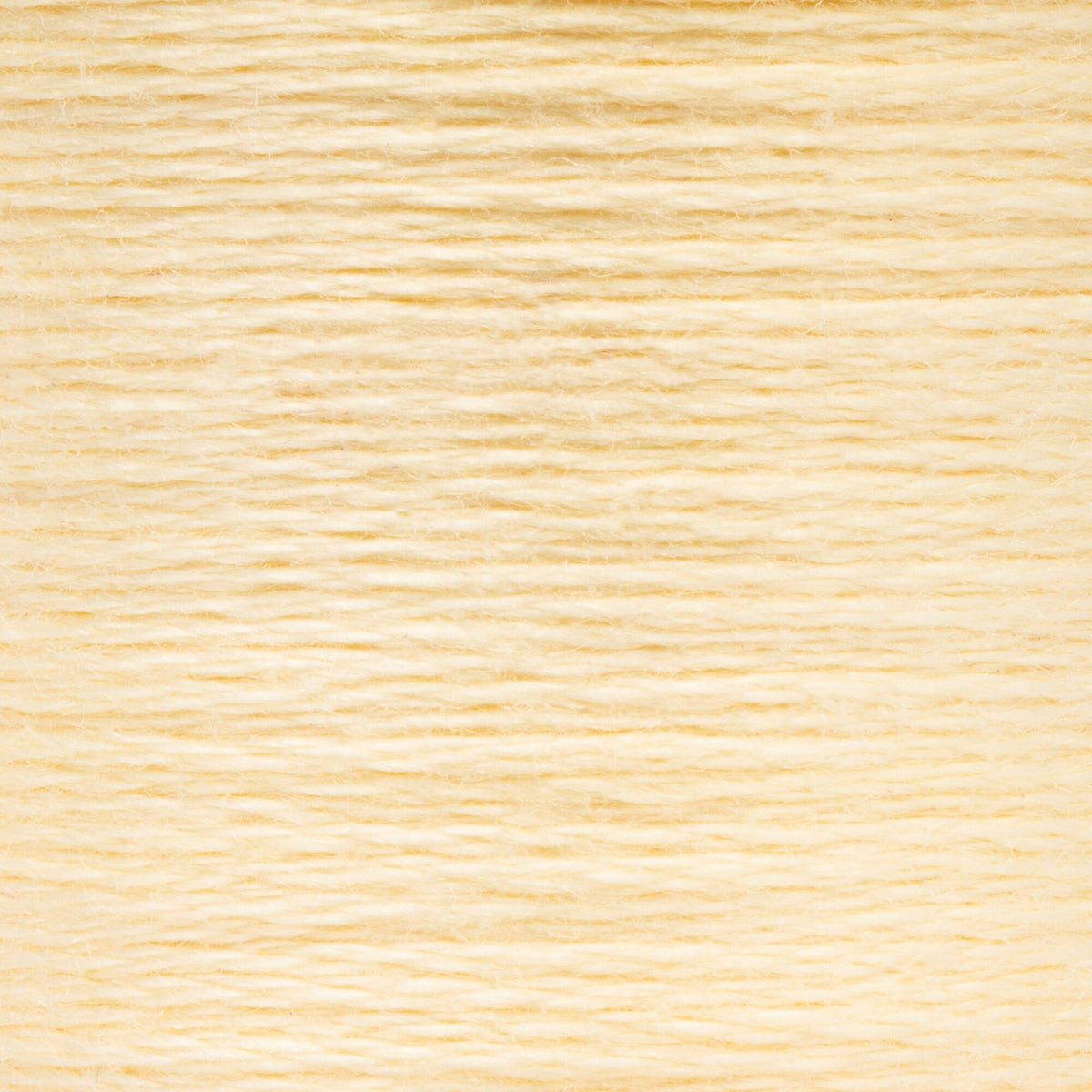 0300 Citrus Light