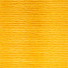 0302 Citrus Medium Light
