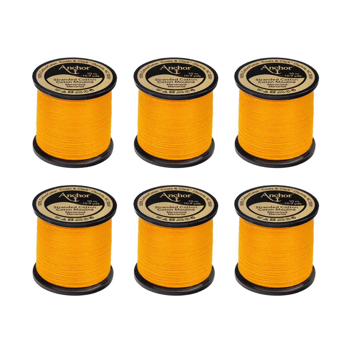 0303 Citrus Medium