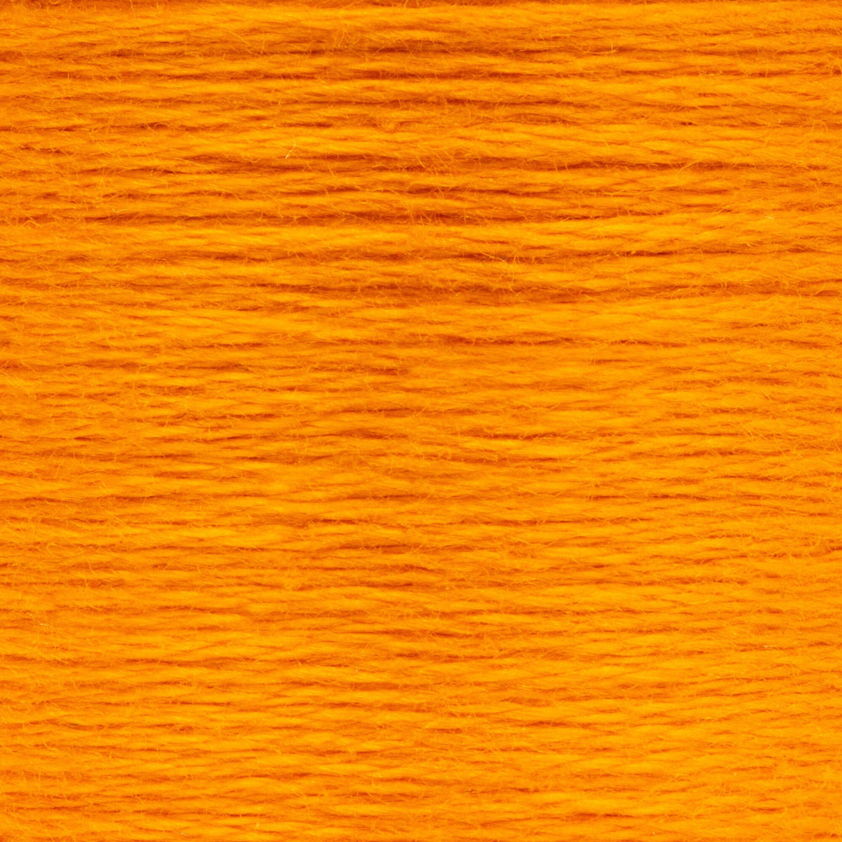 0304 Citrus Dark