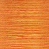 0323 Apricot Light
