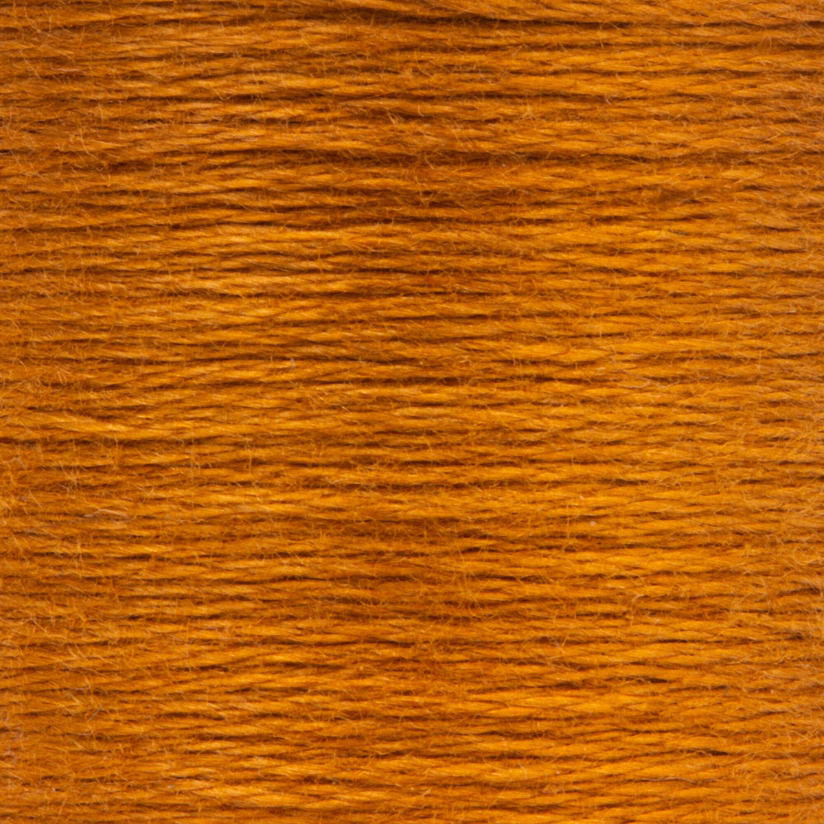 0365 Nutmeg Dark
