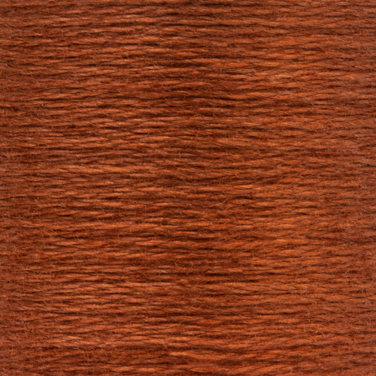 0371 Spice Dark