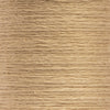 0372 Desert Light