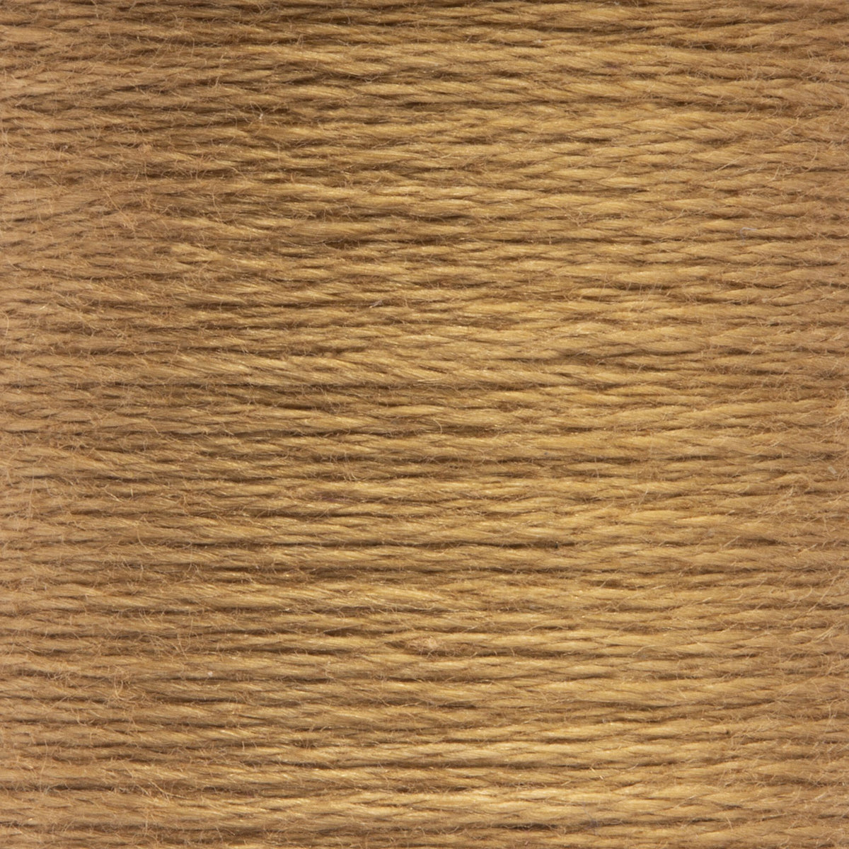 0373 Desert Medium