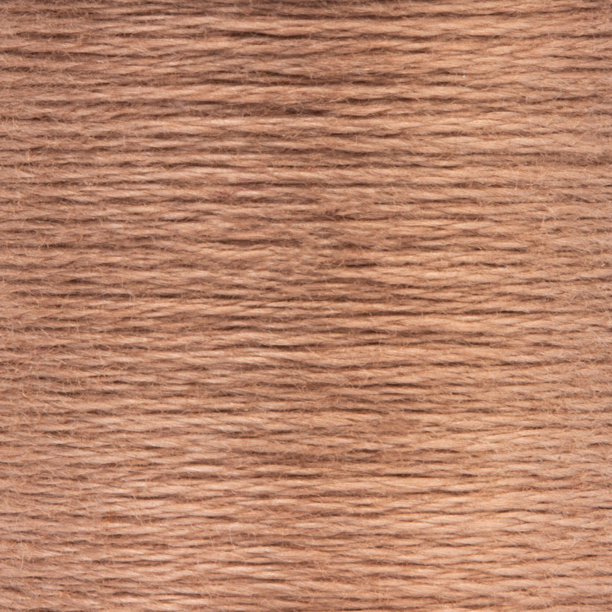 0378 Fawn Medium