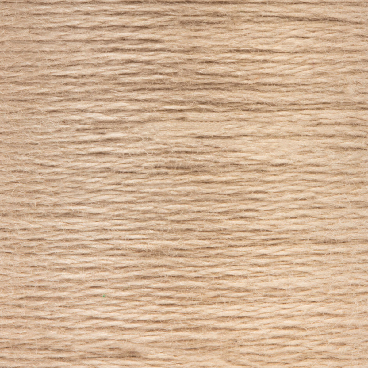 0388 Ecru Medium