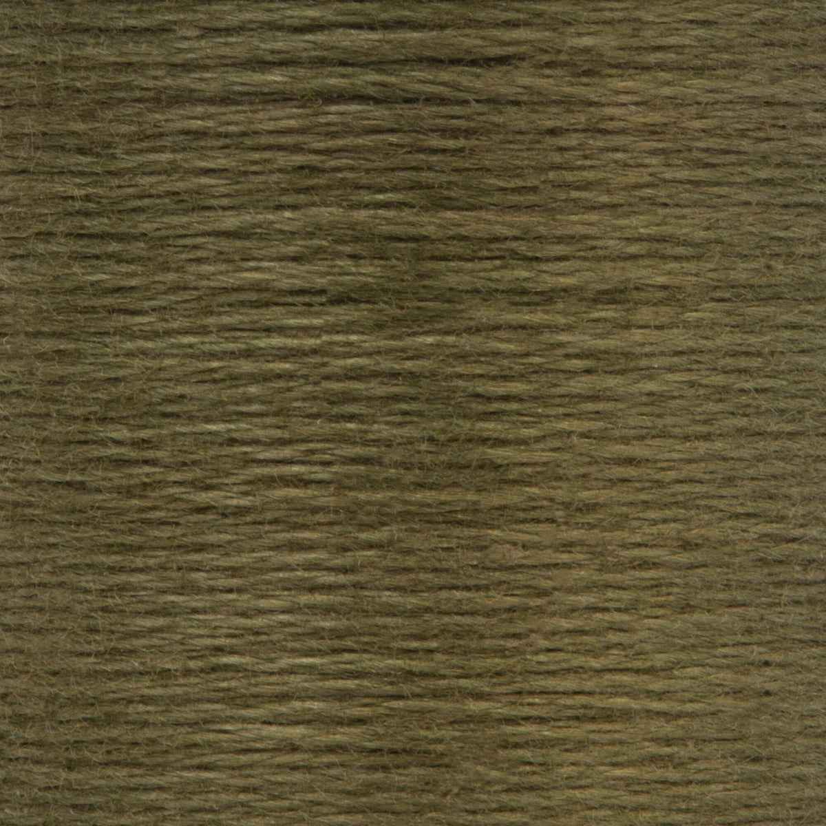 0681 Forest Dark
