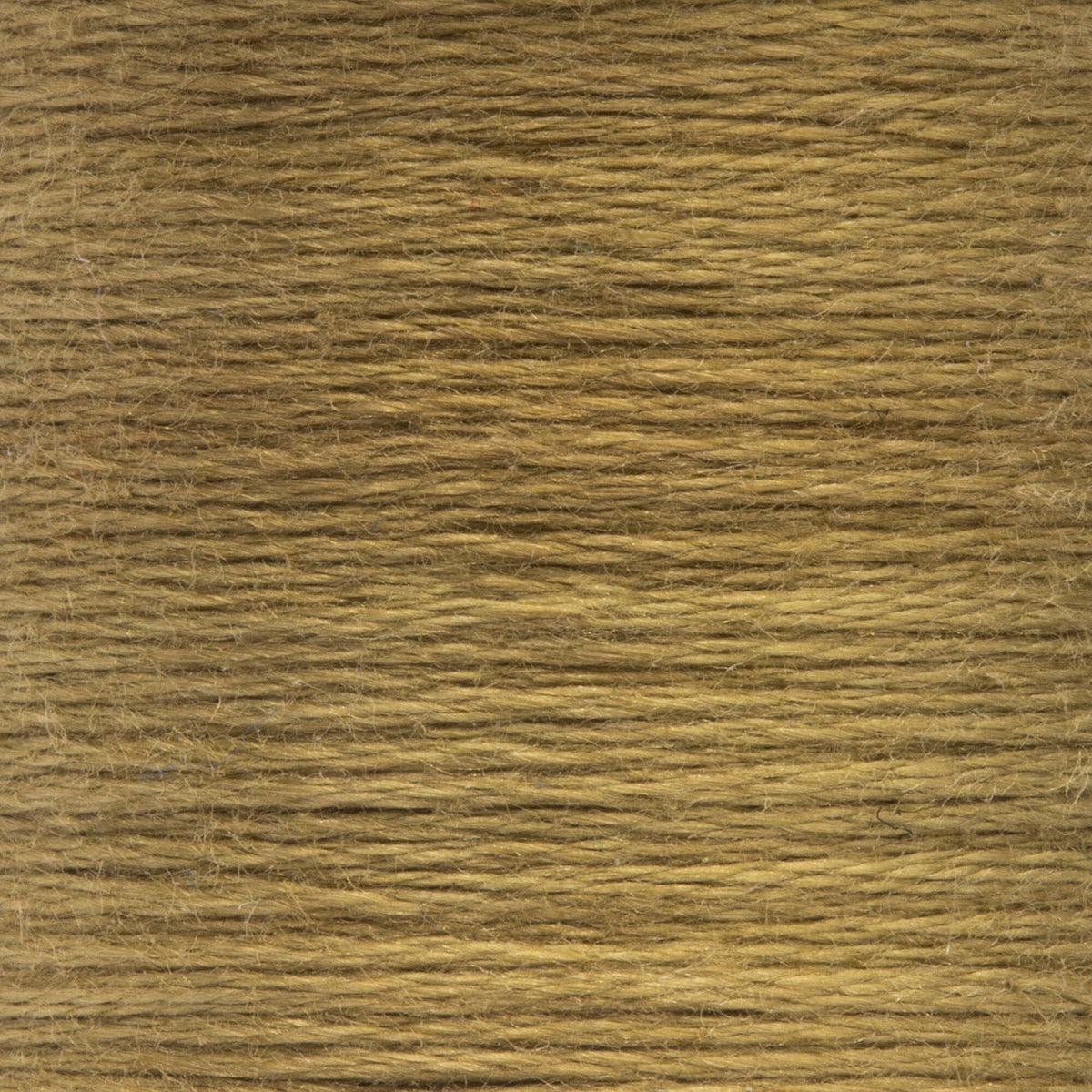 0855 Turf Medium