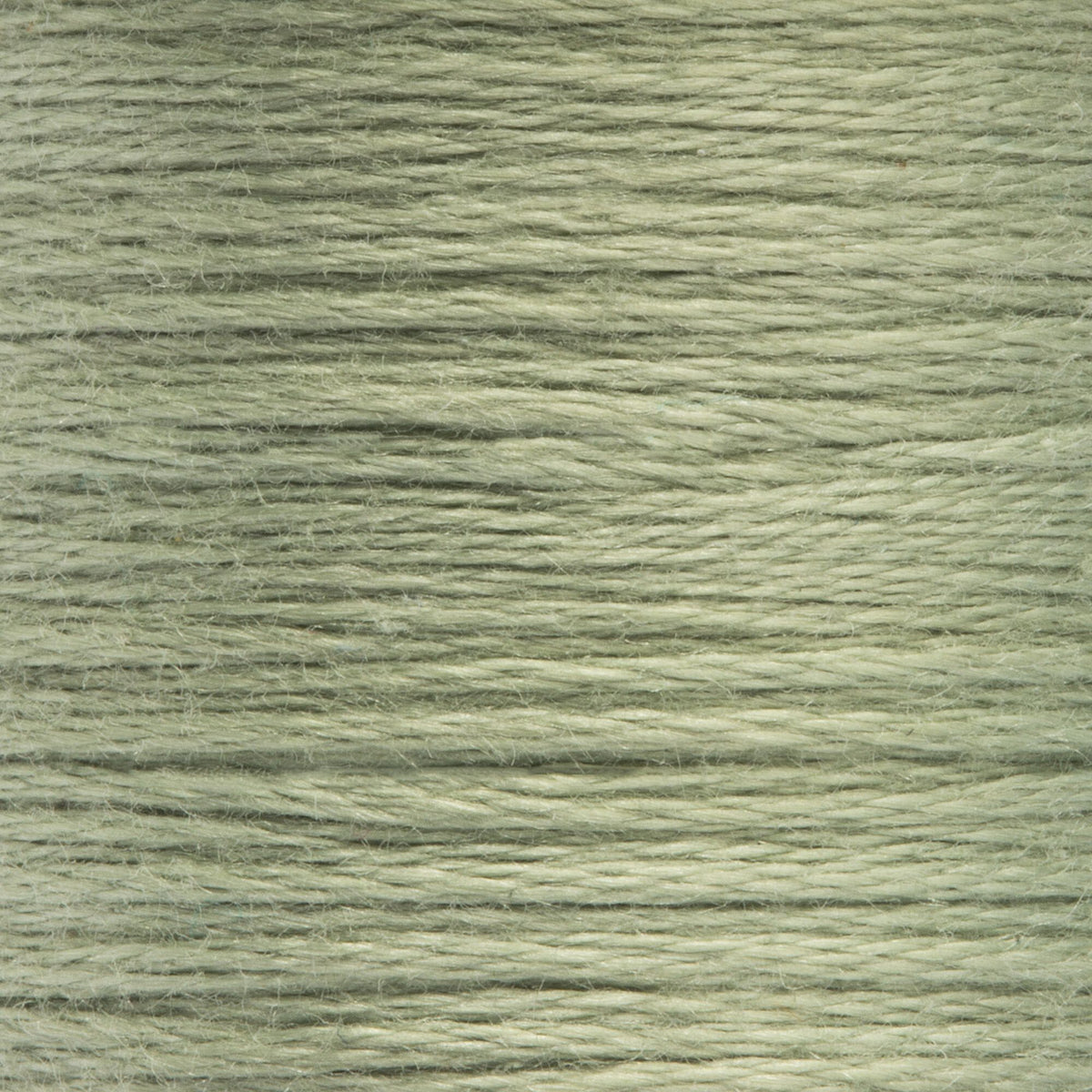 0858 Laurel Green Light
