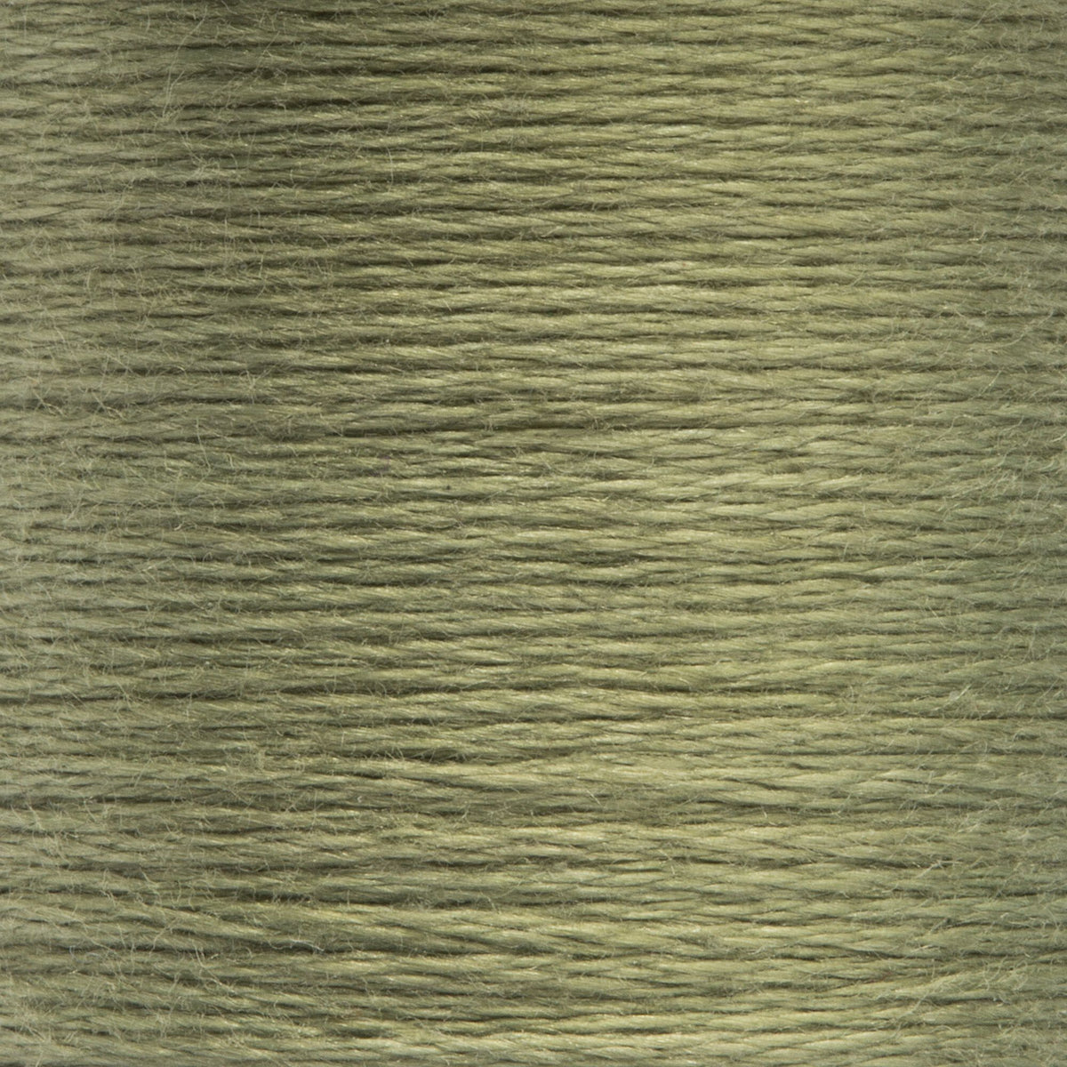 0859 Laurel Green