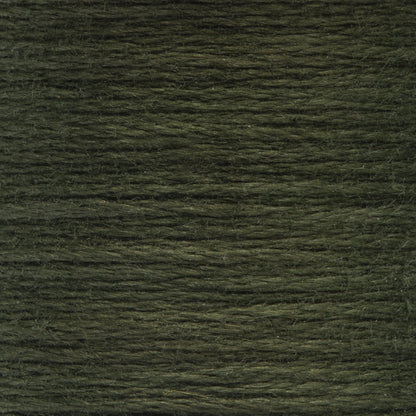 Anchor Spooled Floss 10 Meters - Clearance Shades 0862 Laurel Green Dark