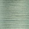 0875 Pine Light