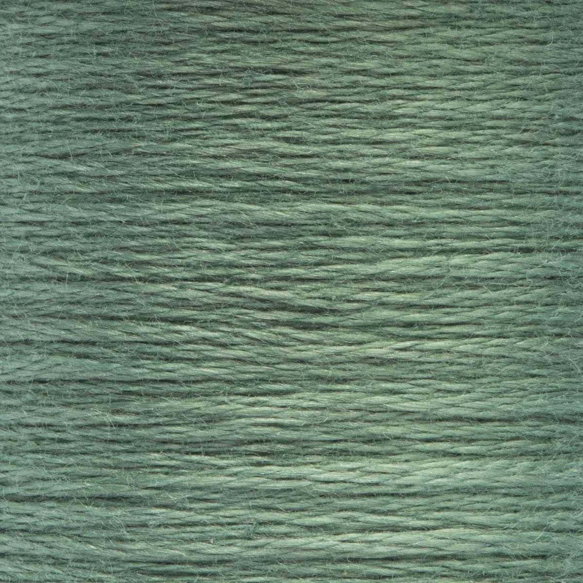 0876 Pine