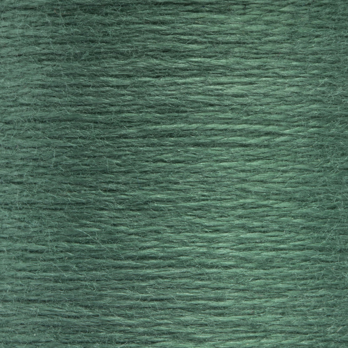 0877 Pine Medium
