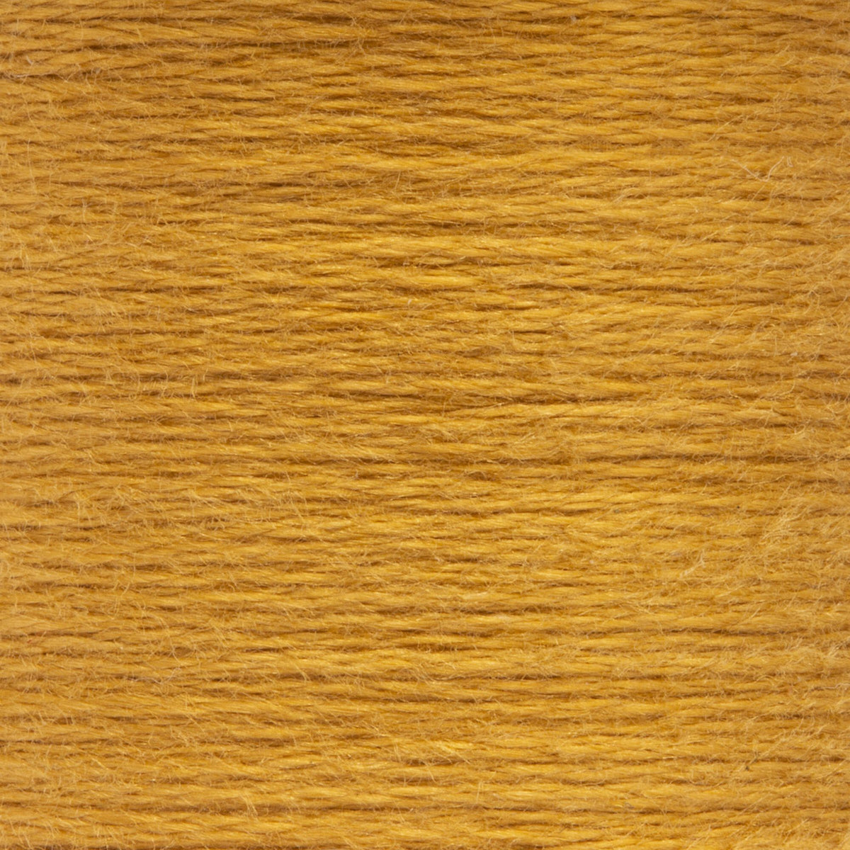 0890 Brass Light