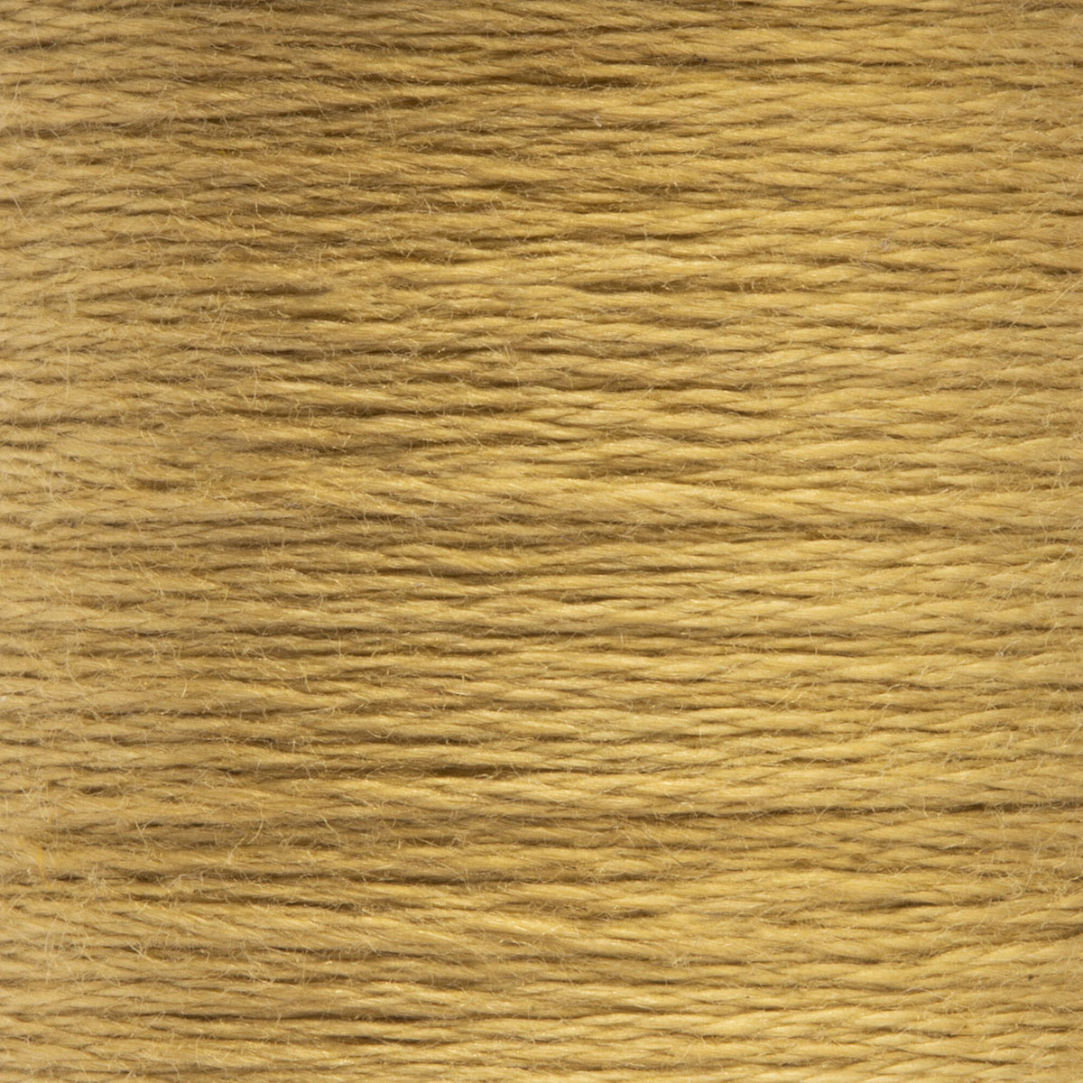 0945 Harvest Medium