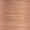 1008 Chicory Medium