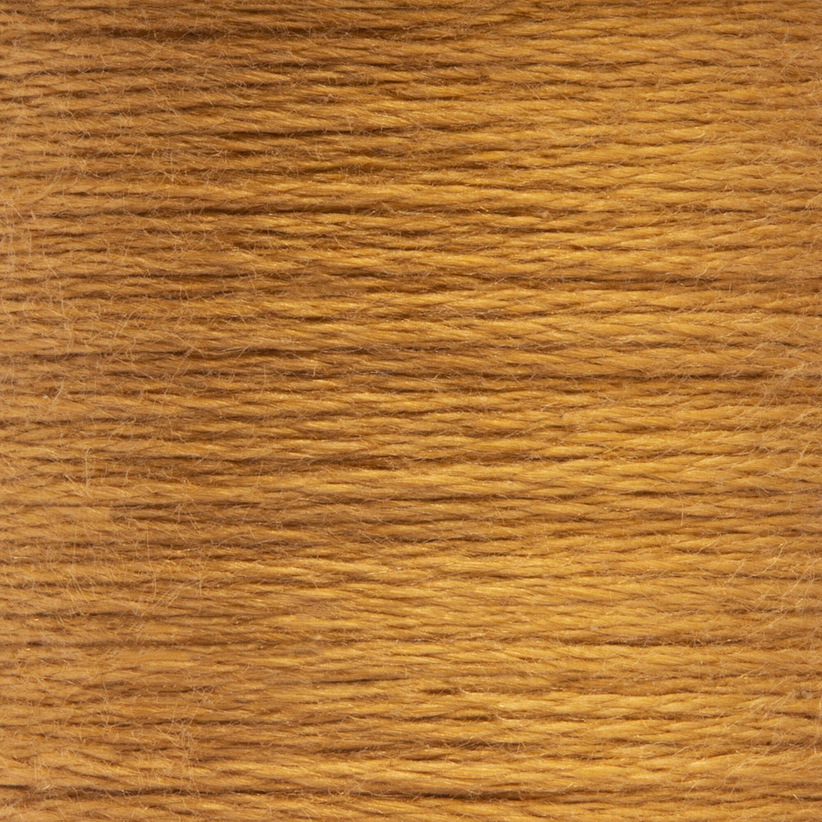 1045 Toast Light