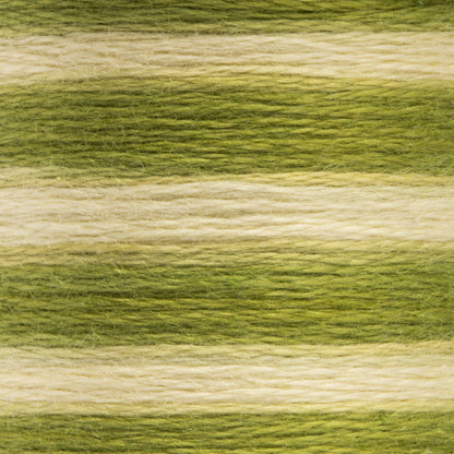 Anchor Spooled Floss 10 Meters - Clearance Shades 1216 Celery Seed