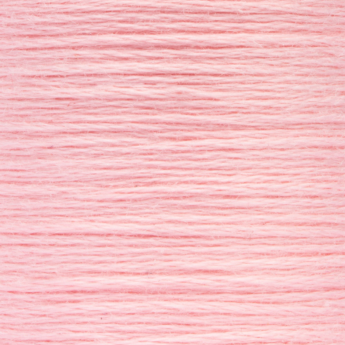 0023 Carnation Ultra Light