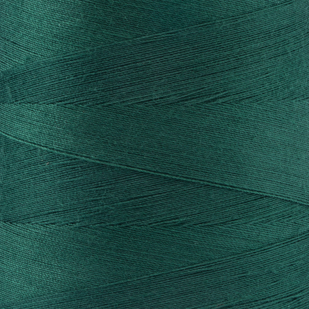 Spruce
