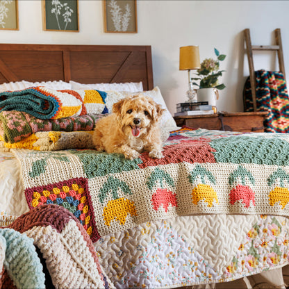 Bernat Bucolic Frolic Crochet Blanket Bucolic Frolic Crochet Blanket made using Bernat yarn