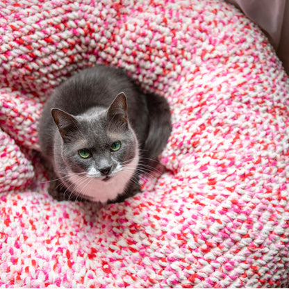 Bernat Donut Ask Me to Wake Up Crochet Pet Bed Crochet Pet Bed made in Bernat Blanket Yarn