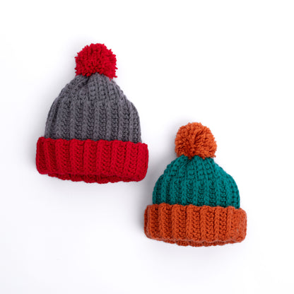 Bernat Color Block Family Crochet Hats All Variants