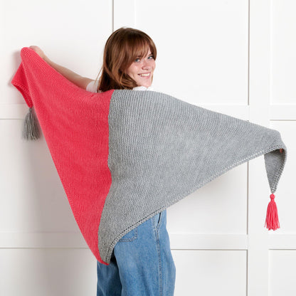 Bernat Beginner Taking Sides Knit Shawl All Variants